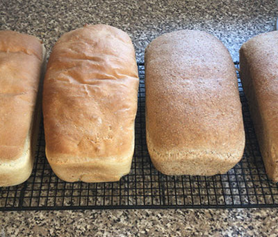 Bread of Heaven...