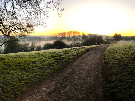 The sun comes up...